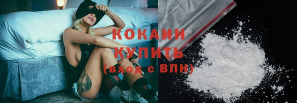 PSILOCYBIN Няндома